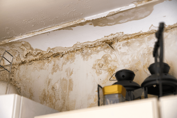 How to Sell Your Home with Mould Issues